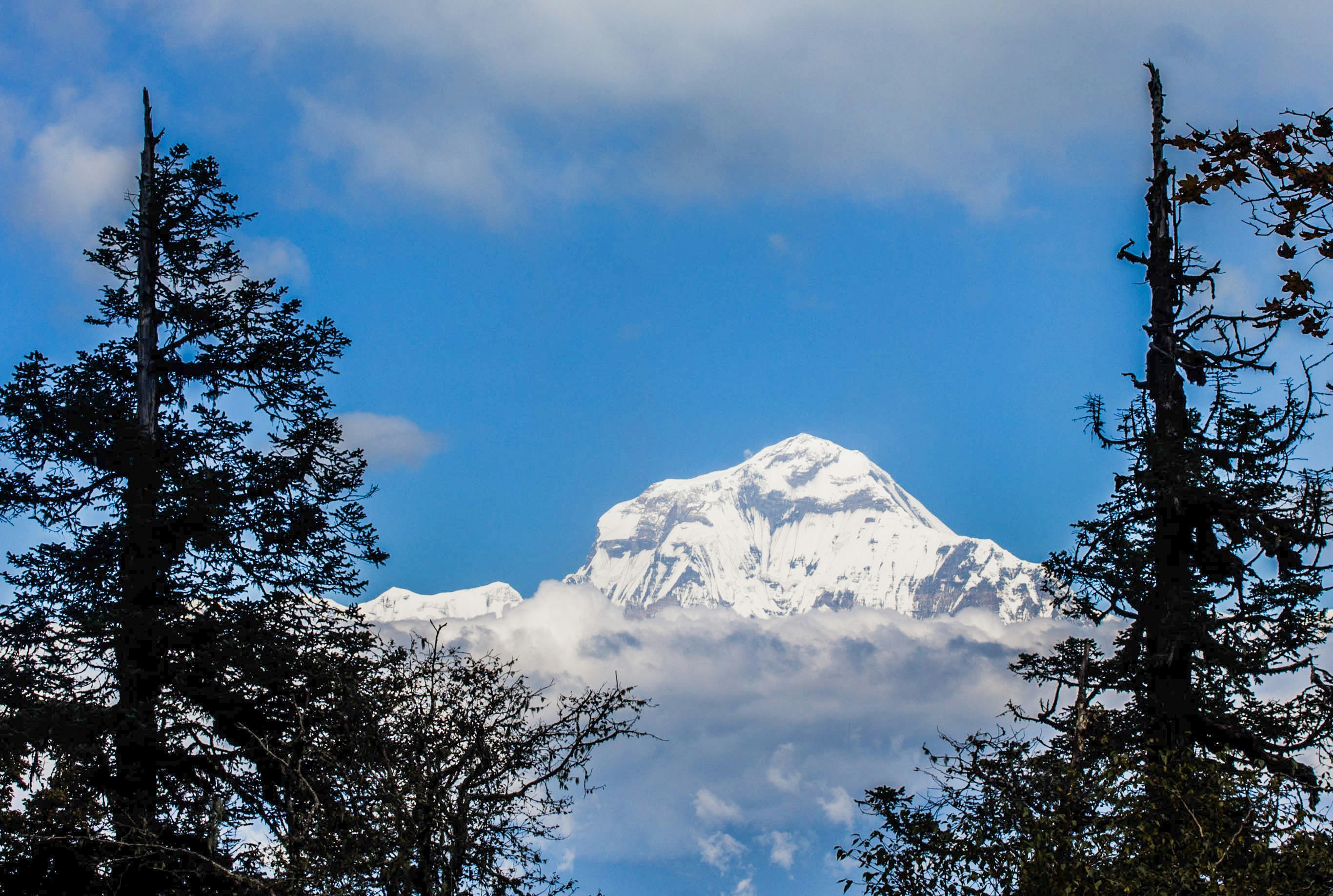 DHAULAGIRI CIRCUIT TREK (5416M)